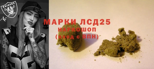 стафф Аркадак