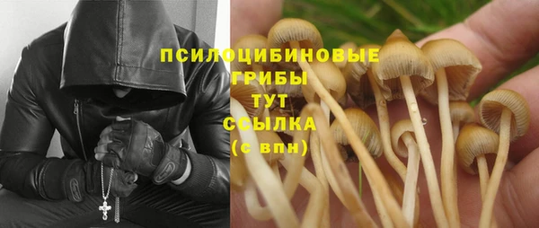 mix Арсеньев
