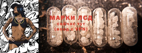 стафф Аркадак